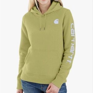 Carhartt Relaxed Fit Midweight Logo Sleeve Graphic Sweater in Early Spring